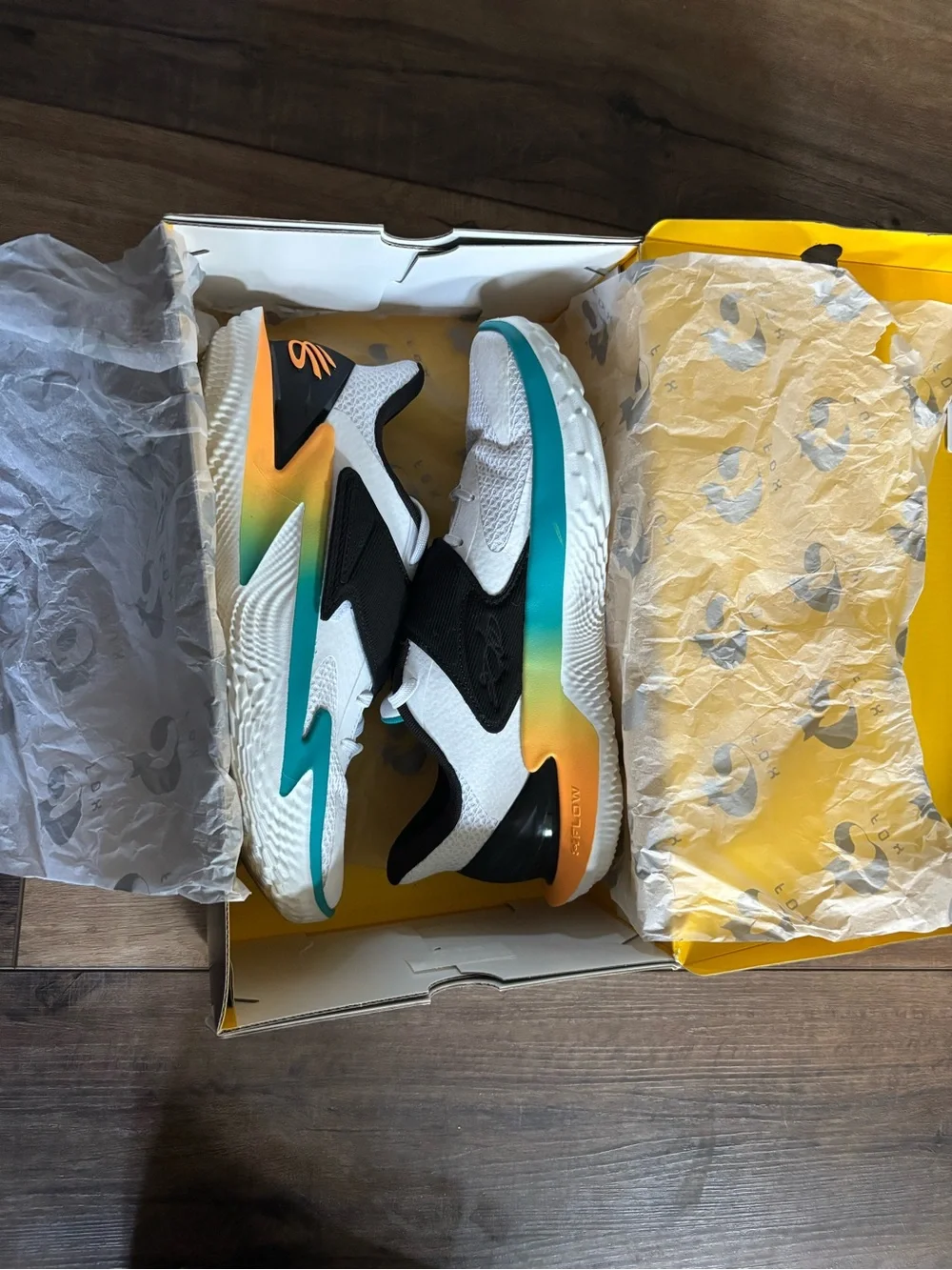 Curry d-fox basketball shoes